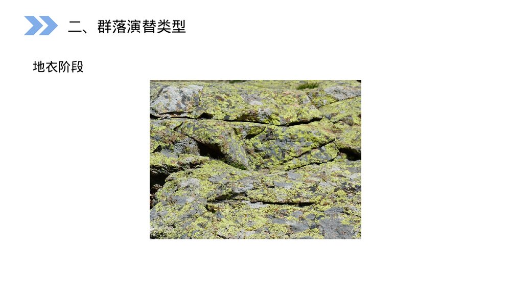 人教版高二生物必修三《群落的演替》教学PPT课件8