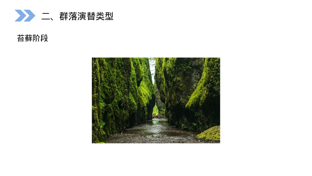 人教版高二生物必修三《群落的演替》教学PPT课件9