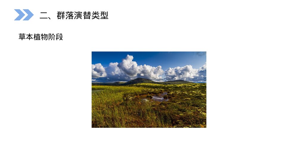 人教版高二生物必修三《群落的演替》教学PPT课件10