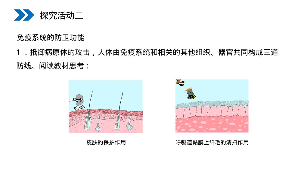 人教版高二生物必修三《免疫调节》教学PPT课件7