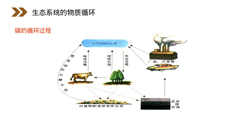 人教版高二生物必修三《生态教学系统的物质循环》PPT课件4