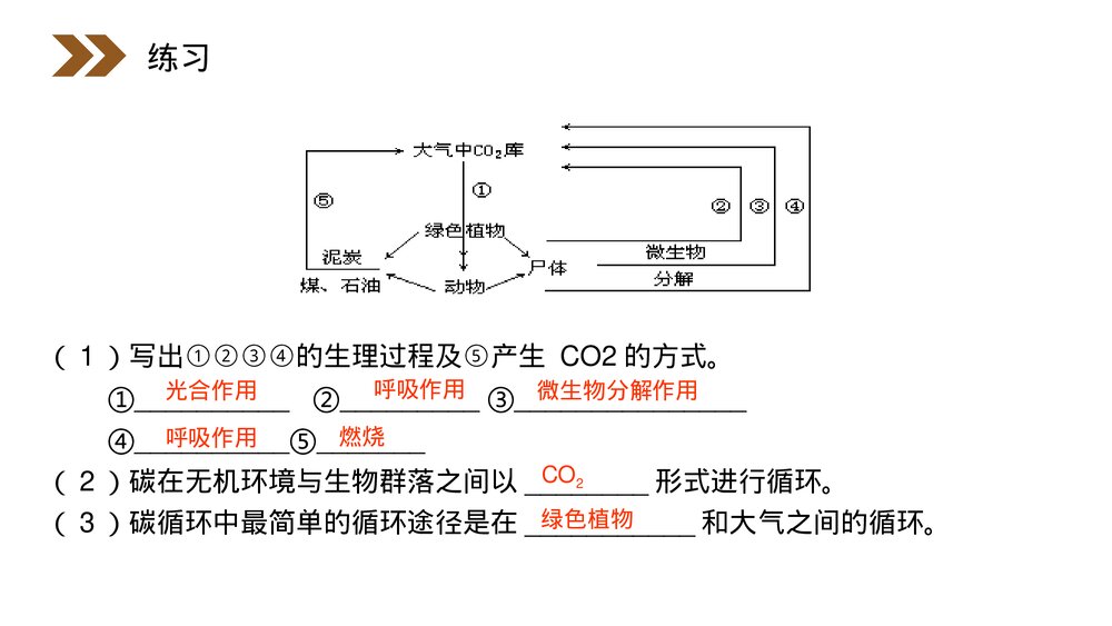 人教版高二生物必修三《生态教学系统的物质循环》PPT课件8