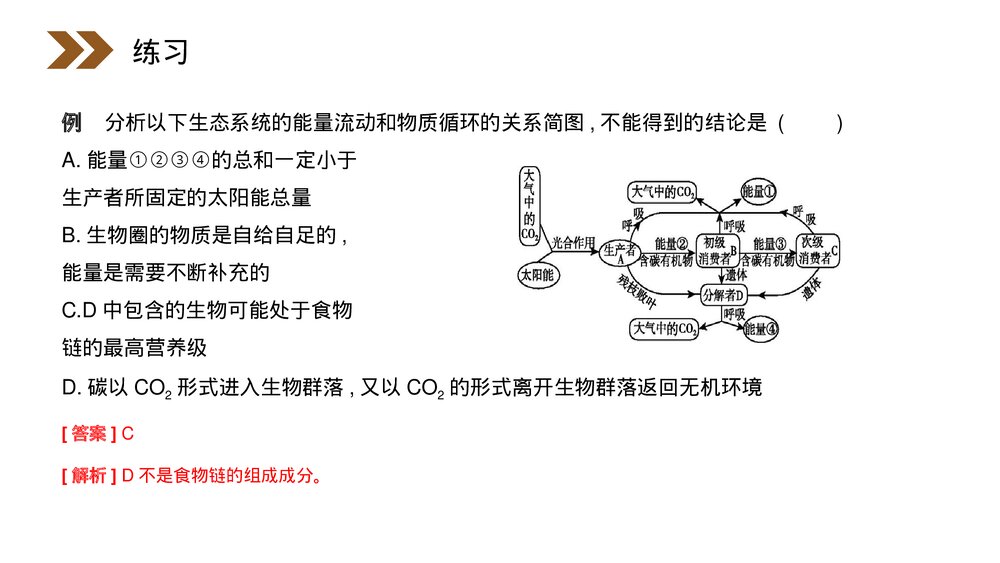 人教版高二生物必修三《生态教学系统的物质循环》PPT课件9