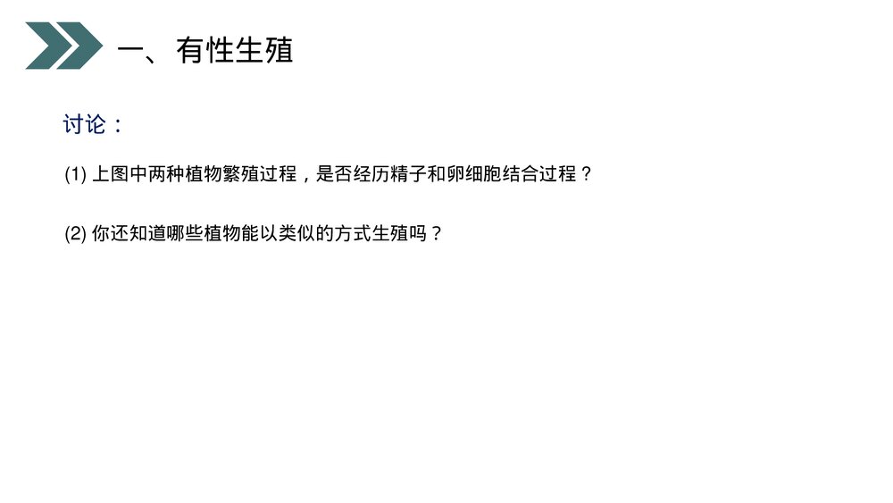 人教版初中生物八年级下册《生物的生殖和发育(植物的生殖)》PPT课件7