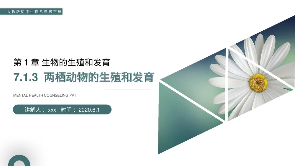 人教版初中生物八年级下册《两栖动物的生殖和发育》PPT课件1