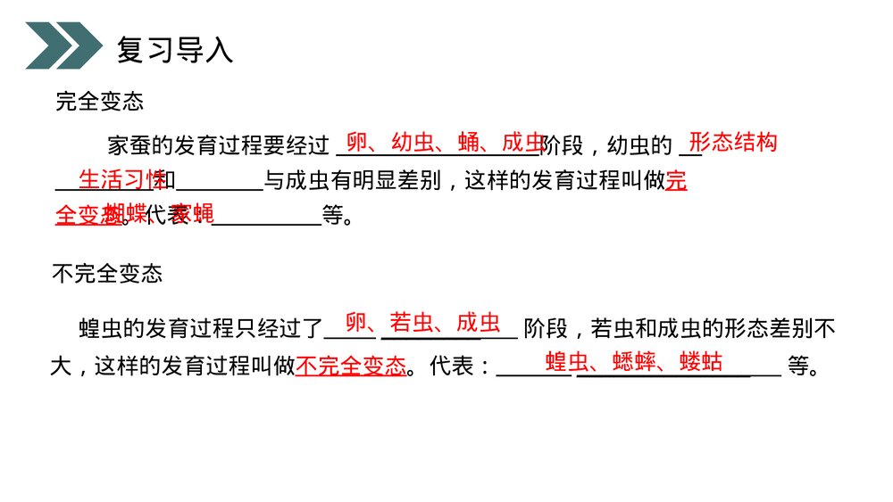 人教版初中生物八年级下册《两栖动物的生殖和发育》PPT课件2
