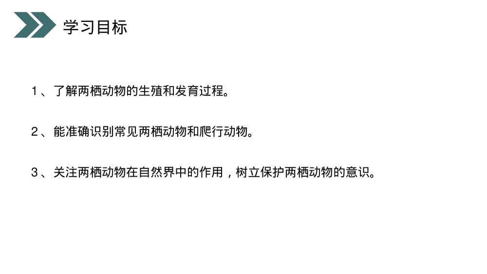 人教版初中生物八年级下册《两栖动物的生殖和发育》PPT课件4