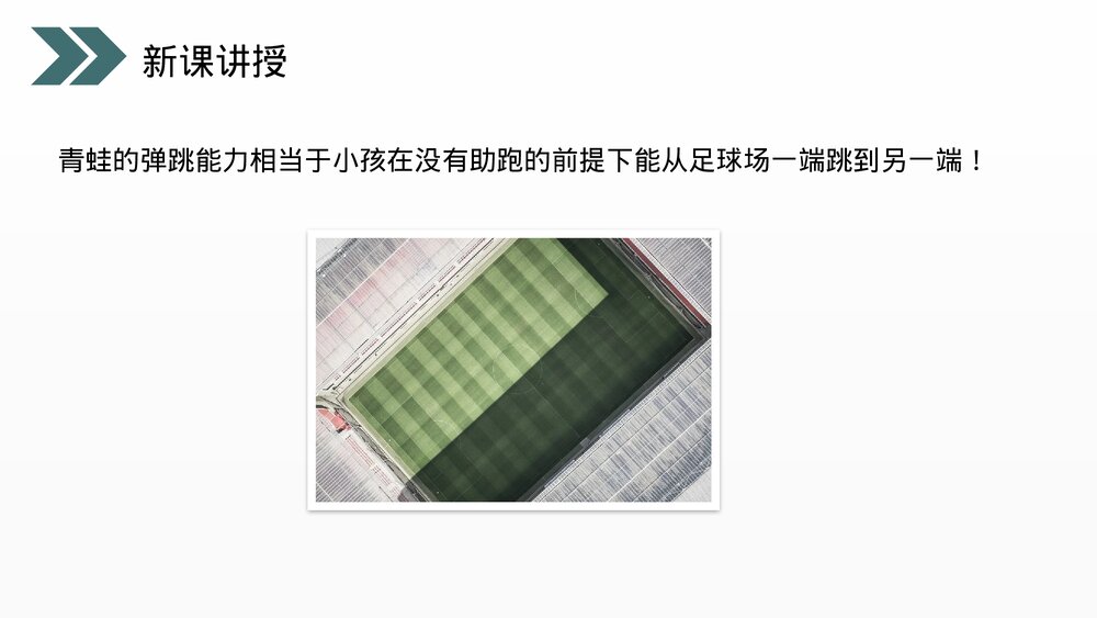 人教版初中生物八年级下册《两栖动物的生殖和发育》PPT课件6