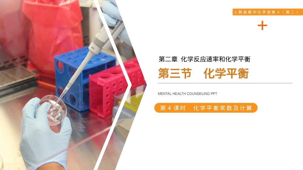 人教版高二化学选修4《化学平衡》PPT课件(第4课时)1
