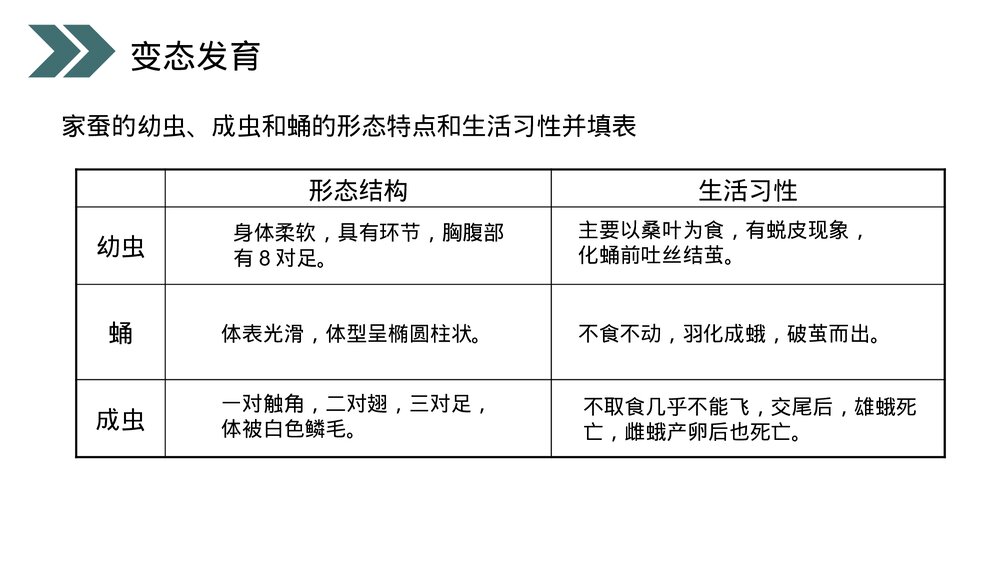 人教版初中生物八年级下册《昆虫的生殖和发育》PPT课件9
