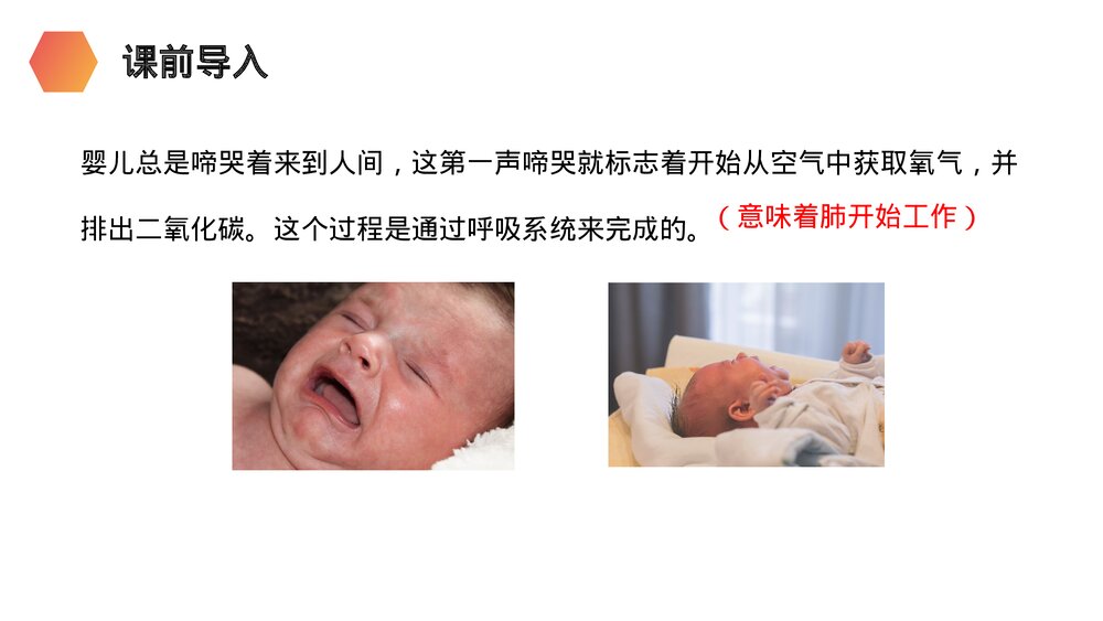 人教版生物七年级初一下册《呼吸道对空气的处理》PPT课件2