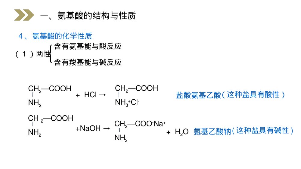人教版高二化学选修五《蛋白质和核酸》PPT课件(第4.3课时)7