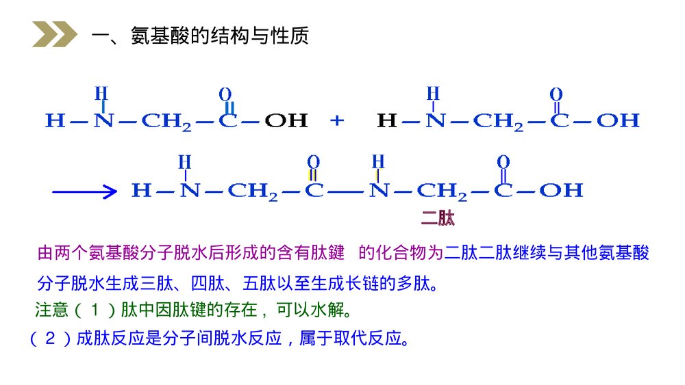 人教版高二化学选修五《蛋白质和核酸》PPT课件(第4.3课时)10