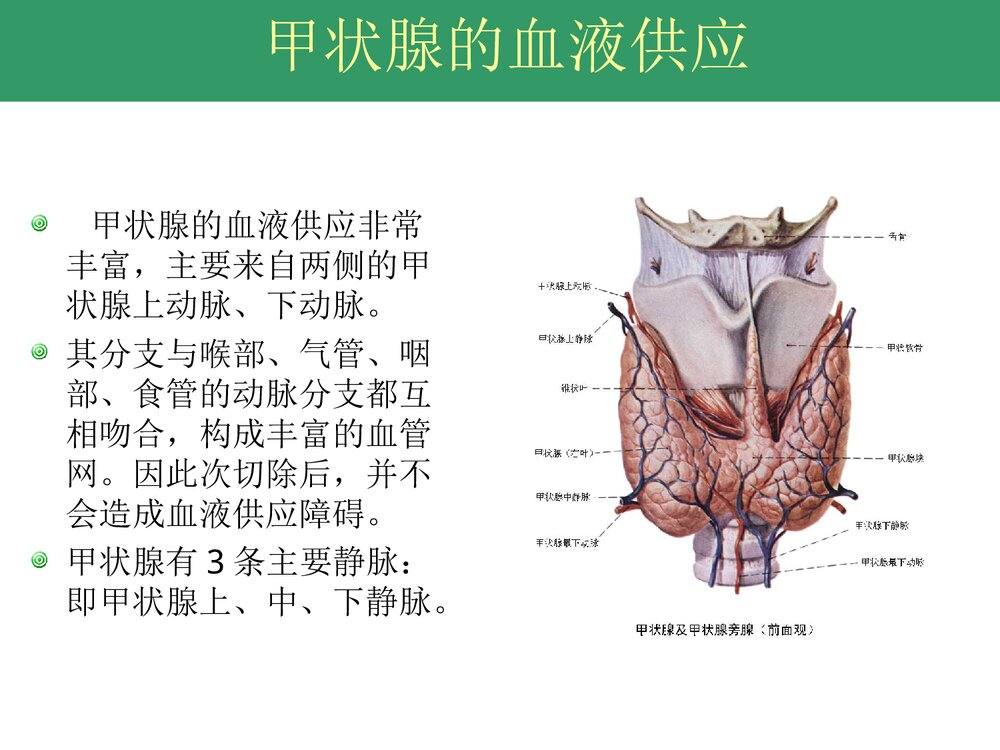 甲状腺次全切除手术配合PPT课件下载(共30页)4