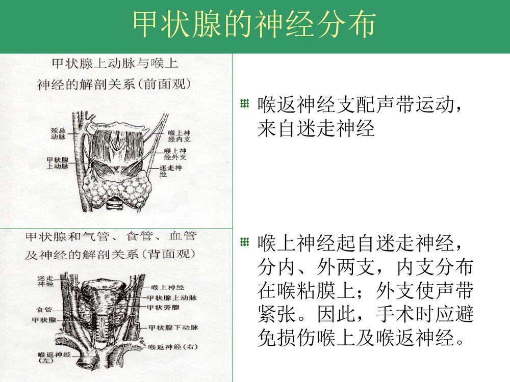 甲状腺次全切除手术配合PPT课件下载(共30页)5