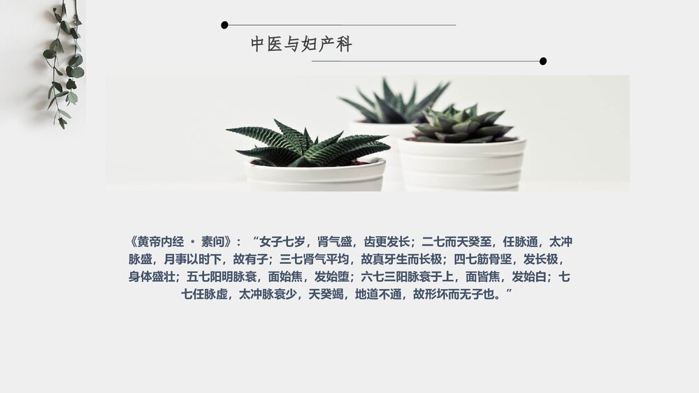 中医在妇产科方面的应用PPT课件下载(共27页)6
