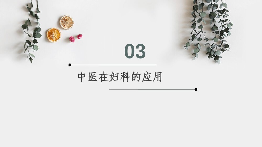 中医在妇产科方面的应用PPT课件下载(共27页)10