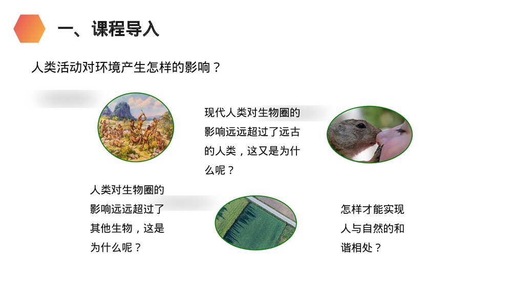 人教版生物七年级初一下册《分析人类活动对生态环境的影响》PPT课件2