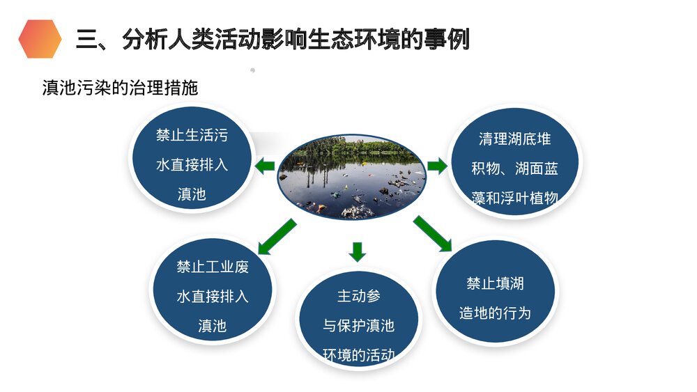 人教版生物七年级初一下册《分析人类活动对生态环境的影响》PPT课件10