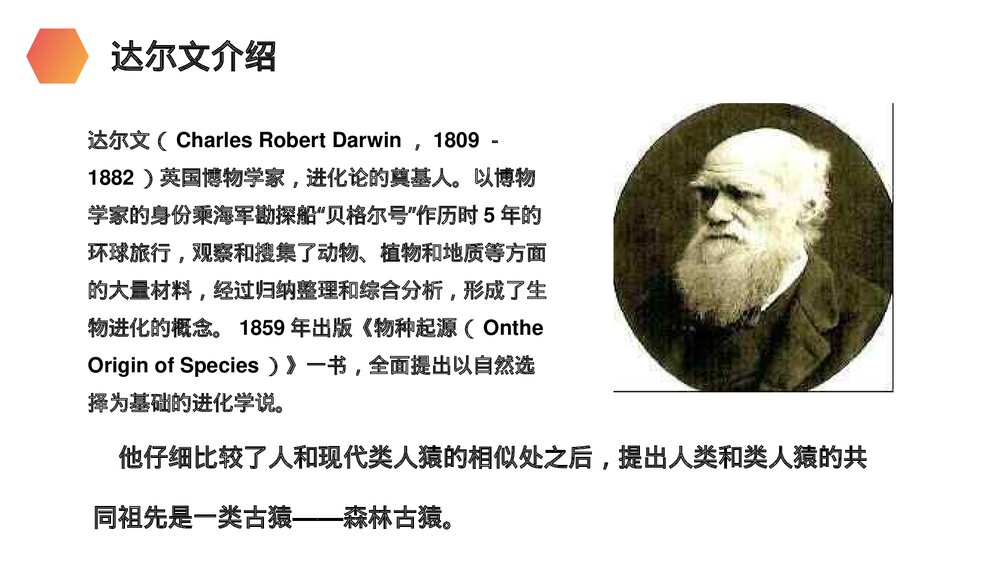 人教版生物七年级初一下册《人类的起源和发展》PPT课件3