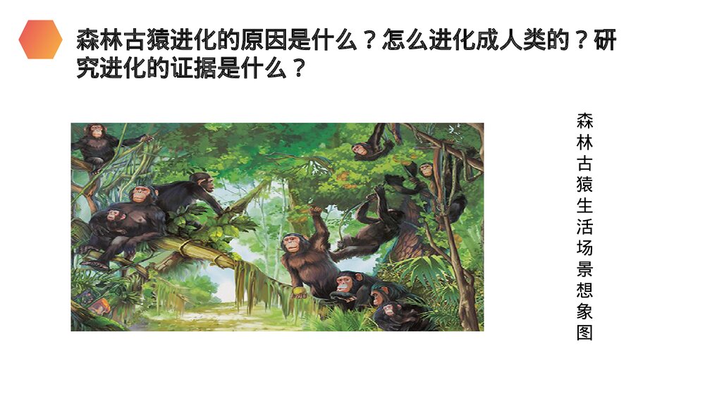 人教版生物七年级初一下册《人类的起源和发展》PPT课件10