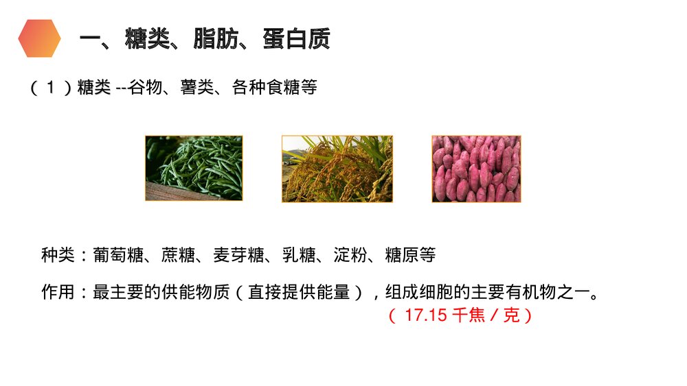 人教版生物七年级初一下册《食物中的营养物质》PPT课件6