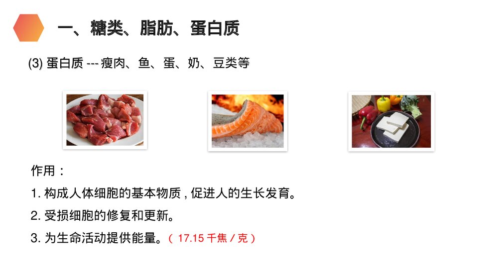 人教版生物七年级初一下册《食物中的营养物质》PPT课件8