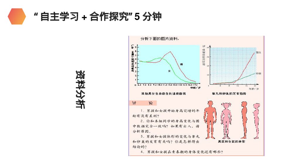 人教版生物七年级初一下册《青春期》PPT课件5