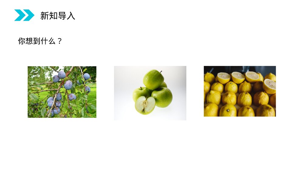 人教版高二化学选修五《羧酸》PPT课件(第3.3.1课时)2