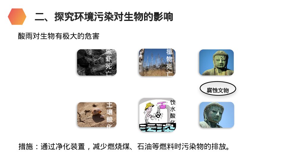 人教版生物七年级初一下册《探究环境污染对生物的影响》PPT课件8