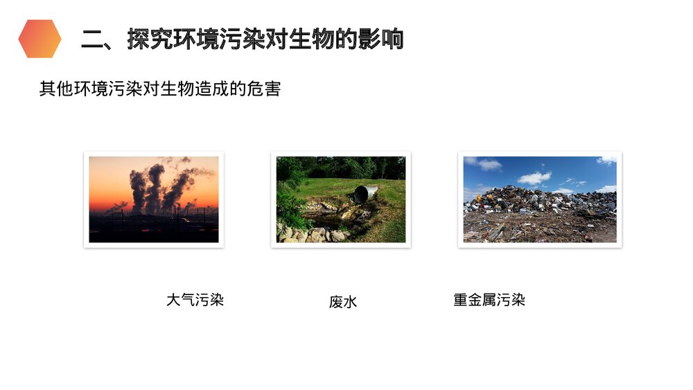 人教版生物七年级初一下册《探究环境污染对生物的影响》PPT课件9