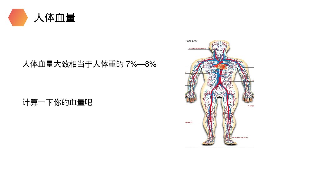 人教版生物七年级初一下册《输血与血型》PPT课件3