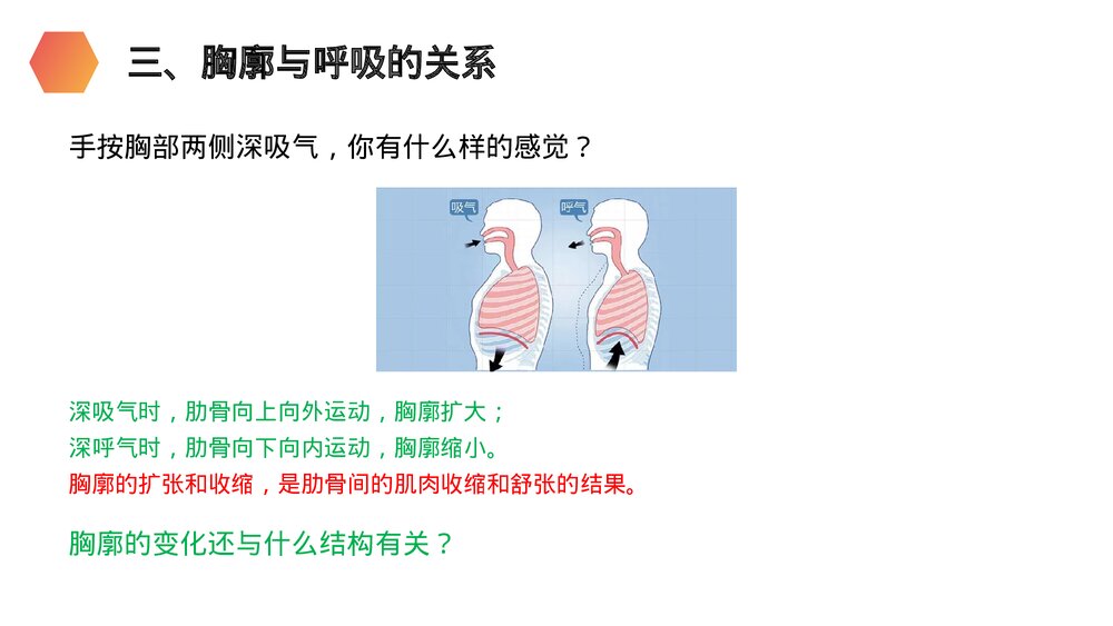 人教版生物七年级初一下册《发生在肺内的气体交换》PPT课件9
