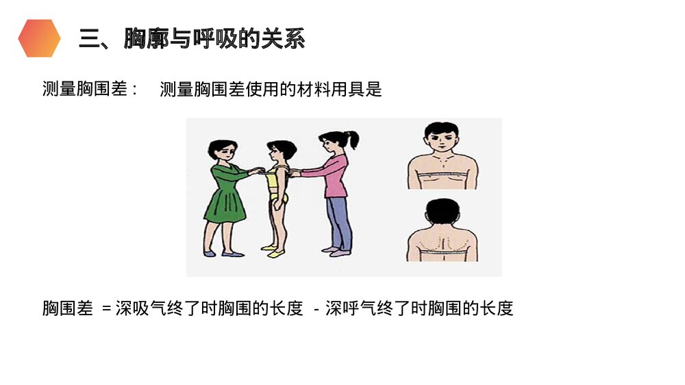 人教版生物七年级初一下册《发生在肺内的气体交换》PPT课件10