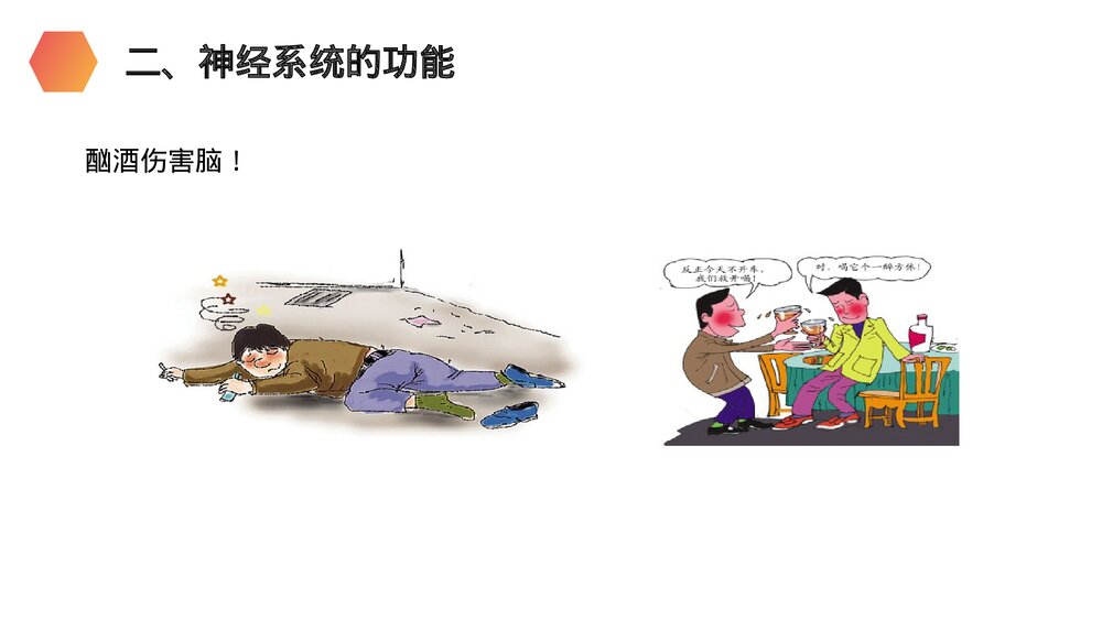 人教版生物七年级初一下册《神经系统的组成》PPT课件8