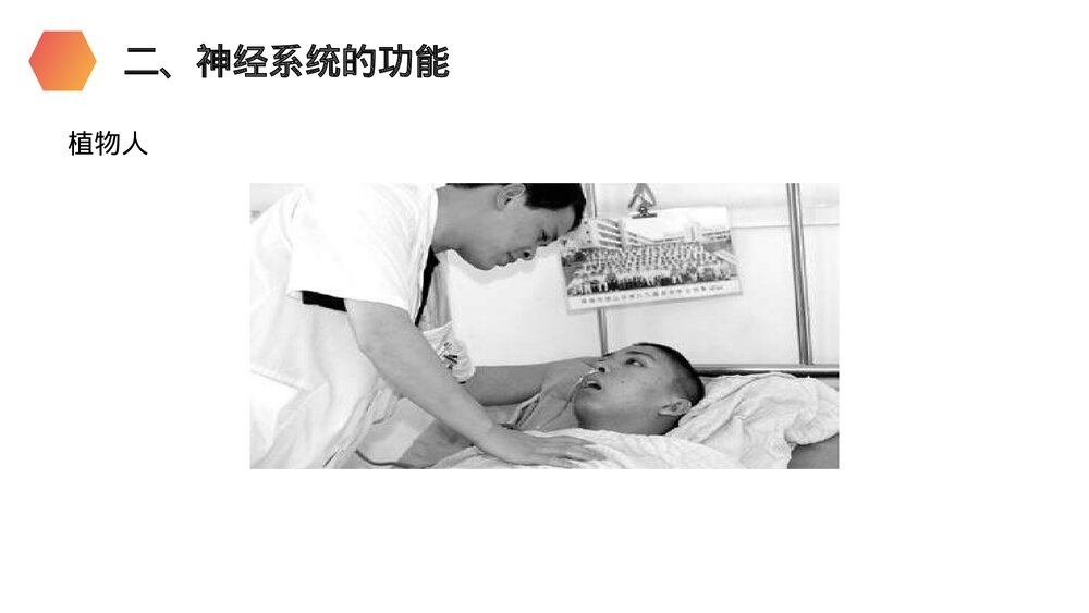 人教版生物七年级初一下册《神经系统的组成》PPT课件9