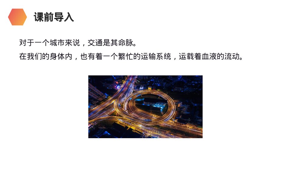 人教版生物七年级初一下册《血流的管道(血管)》PPT课件2