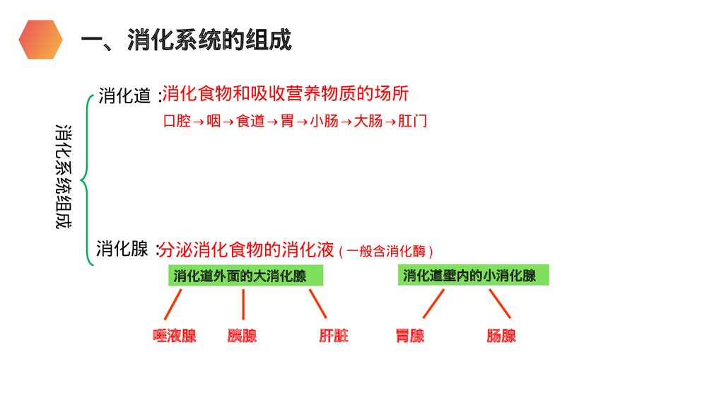 人教版生物七年级初一下册《消化和吸收》PPT课件3
