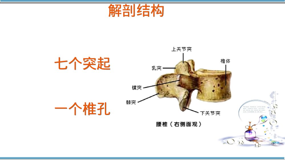 腰椎骨折护理查房PPT课件(共32页)5