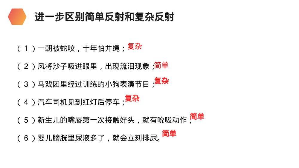 人教版生物七年级初一下册《神经调节的基本方式》PPT课件8