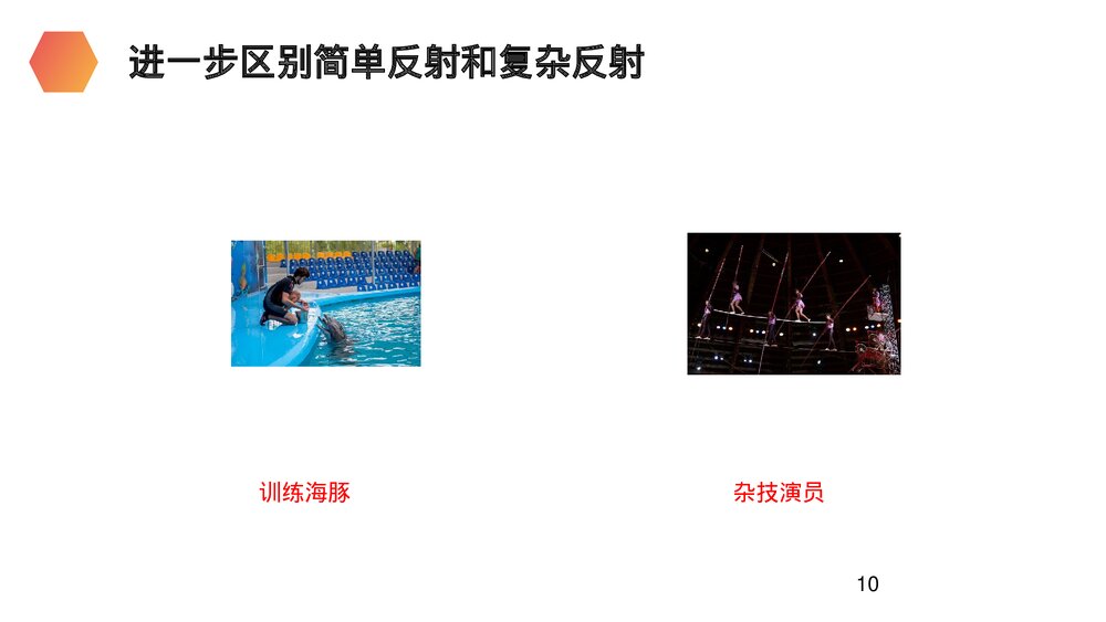 人教版生物七年级初一下册《神经调节的基本方式》PPT课件10