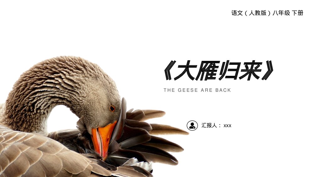 人教版八年级语文下册《大雁归来》PPT课件1