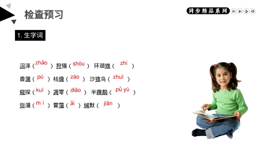 人教版八年级语文下册《大雁归来》PPT课件6