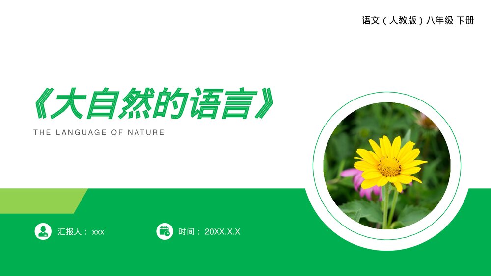 人教版八年级语文下册《大自然的语言》PPT课件1