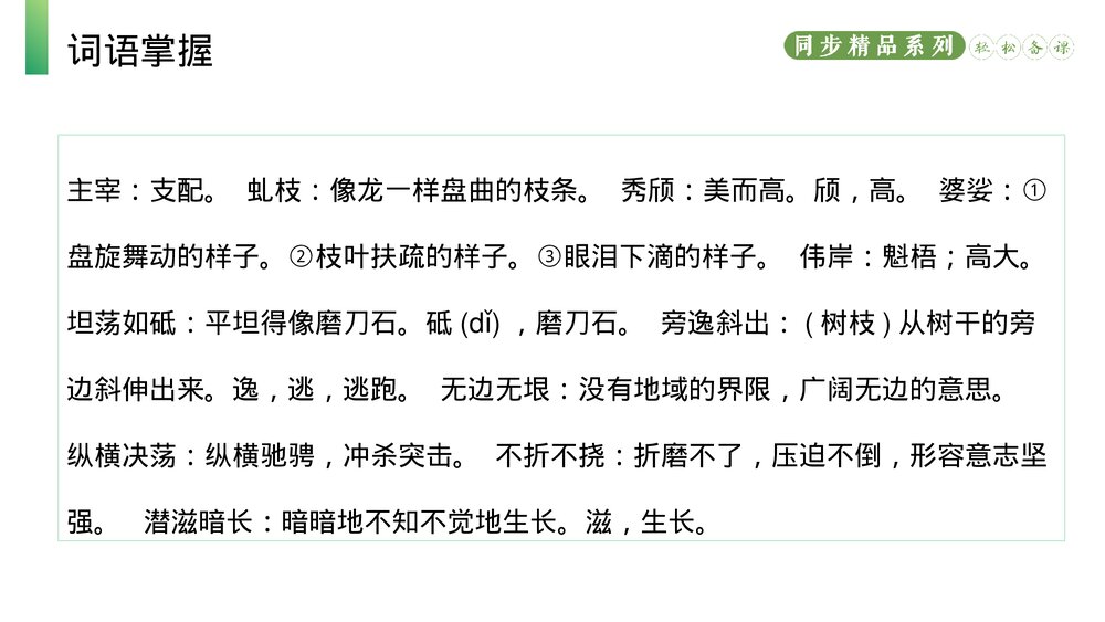 人教版八年级语文上册《白杨礼赞》PPT课件7