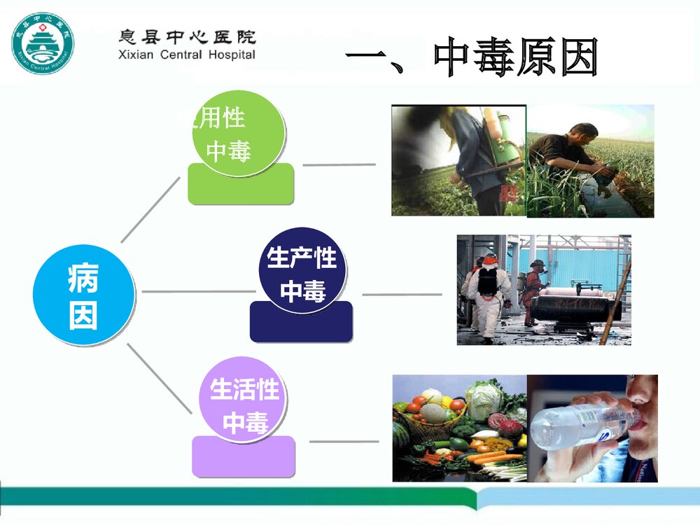 有机磷农药中毒的急救护理PPT课件下载(共20页)3