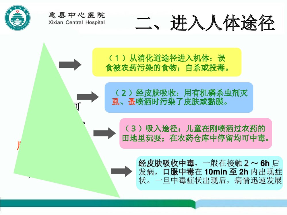 有机磷农药中毒的急救护理PPT课件下载(共20页)4
