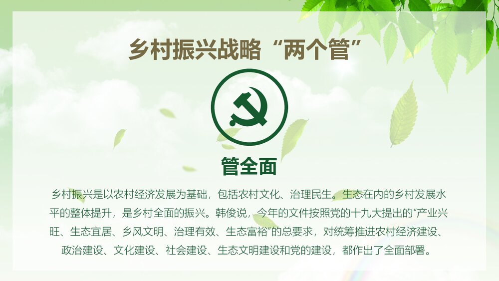 乡村战略实施汇报总结PPT课件下载(共24页)9