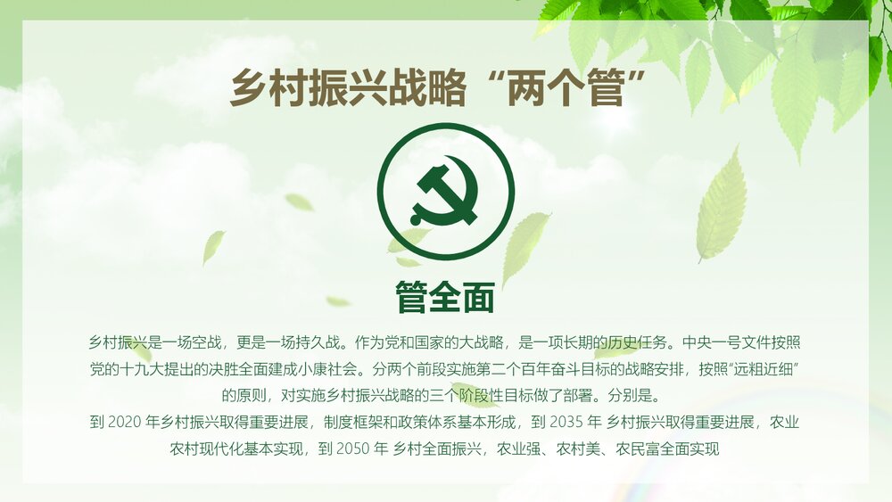 乡村战略实施汇报总结PPT课件下载(共24页)10