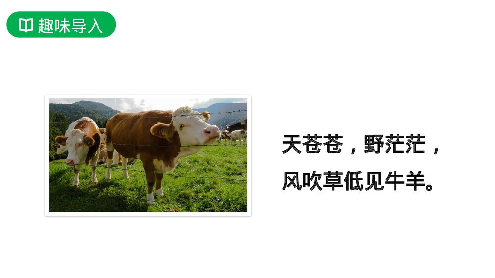 人教版六年级语文上册《草原》PPT课件2